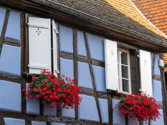 Alsace, Frankrig