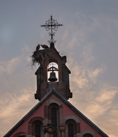 Alsace, Frankrig