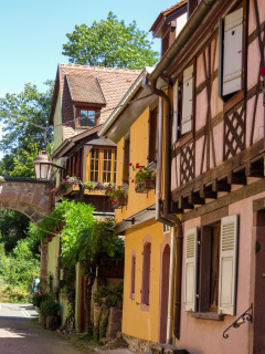 Alsace, Frankrig