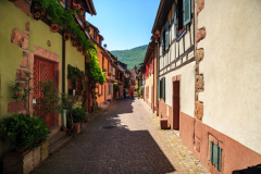 Alsace, Frankrig