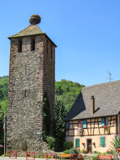 Alsace, Frankrig