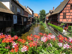 Alsace, Frankrig