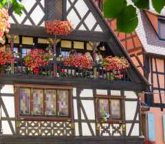 Alsace, Frankrig