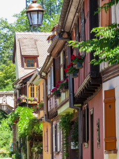 Alsace, Frankrig