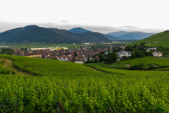 Alsace, Frankrig