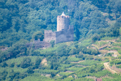 Alsace, Frankrig
