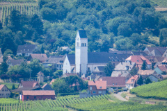 Alsace, Frankrig