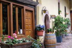 Alsace, Frankrig
