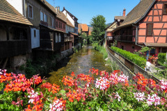 Alsace, Frankrig