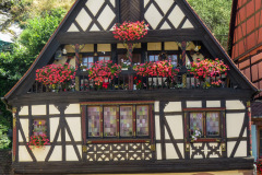 Alsace, Frankrig