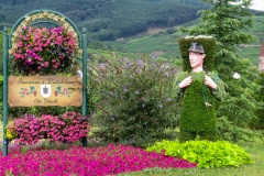 Alsace, Frankrig