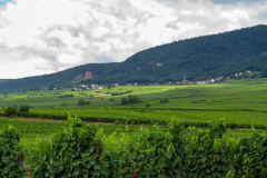 Alsace, Frankrig