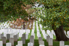 Arlington Cemetary, Virginia, USA