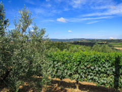 Italien