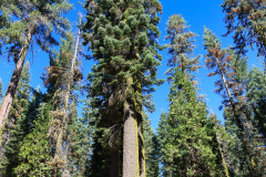 Yosemite National Park, Californien, USA