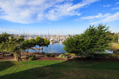 Udsigten fra Berkeley Marina mod San Francisco, Californien, USA