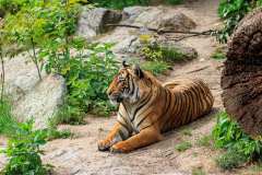 Berlin Zoo, Berlin, Tyskland