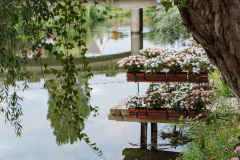 20150723-210310-01_C07D