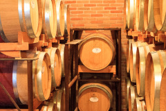 Tenuta Chiccheri, Veneto, USA