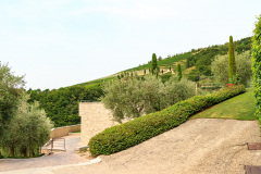 Tenuta Chiccheri, Veneto, USA