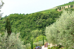Tenuta Chiccheri, Veneto, USA