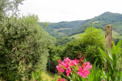 Tenuta Chiccheri, Veneto, USA