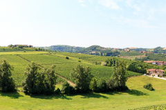 Poderi Luigi Einaudi, Dogliani, Piemonte, Italien