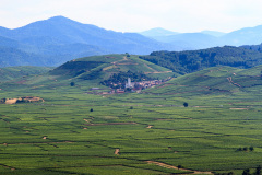 Alsace, Frankrig