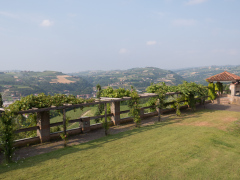 Poderi Luigi Einaudi, Dogliani, Piemonte, Italien