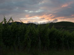 Grand Cru Brand, Turckheim, Alsace