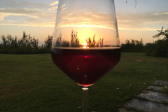 Solnedgang over Barolo, Poderi Luigi Einaudi, Dogliani, Piemonte, Italien