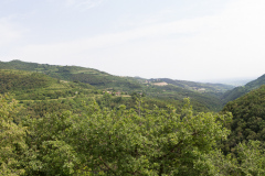 Besøg hos Tenuta Chiccheri, Tregnago, Veneto, Italien