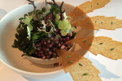 En aften på Restaurant Geranium, 3 stjernet luksusoplevelse i København.