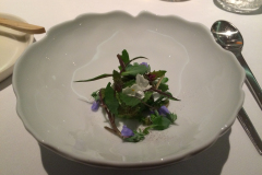 En aften på Restaurant Geranium, 3 stjernet luksusoplevelse i København.