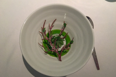 En aften på Restaurant Geranium, 3 stjernet luksusoplevelse i København.