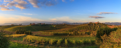 Azienda Agricola Musignano, Toscana, Italien