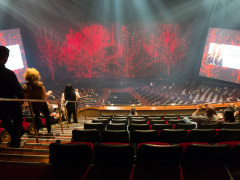 Celine Dion koncert i Las Vegas, USA