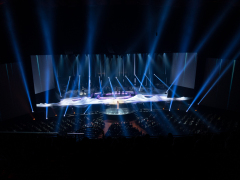Celine Dion koncert i Las Vegas, USA