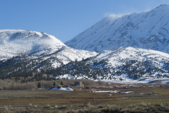 På vej mod Mammoth Lakes, det bliver koldere og koldere.