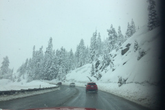 På vej fra Mammoth Lakes, mod San Francisco. Vi skal lige igennem lidt mere vintervejr, inden vestkystens sommerklima kan nydes