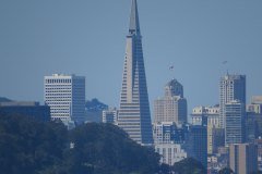 Transamerica Pyramid, San Francisco, USA
