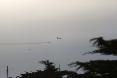 USAF ud og flyve i formation og lege med farver.