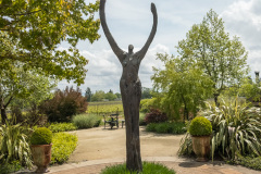 De Loach Winery, Napa Valley, USA