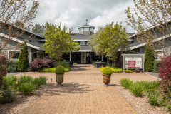 De Loach Winery, Napa Valley, USA