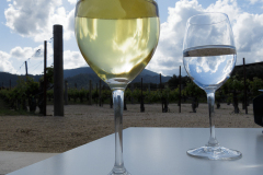 Robert Mondavi Winery, Napa Valley, USA