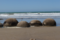 Moeraki Boulders, South Island, New Zealand