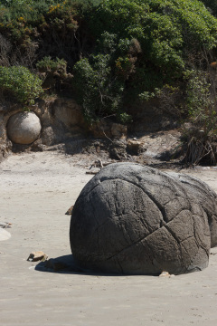 Moeraki Boulders, South Island, New Zealand