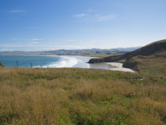 Katiki Point, South Island, New Zealand
