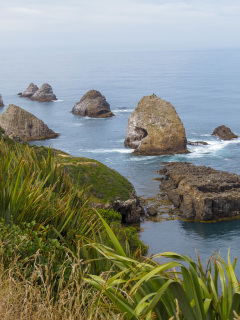 Nuggett Point Lighthouse, South Island, New Zealand