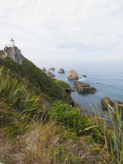 Nuggett Point Lighthouse, South Island, New Zealand